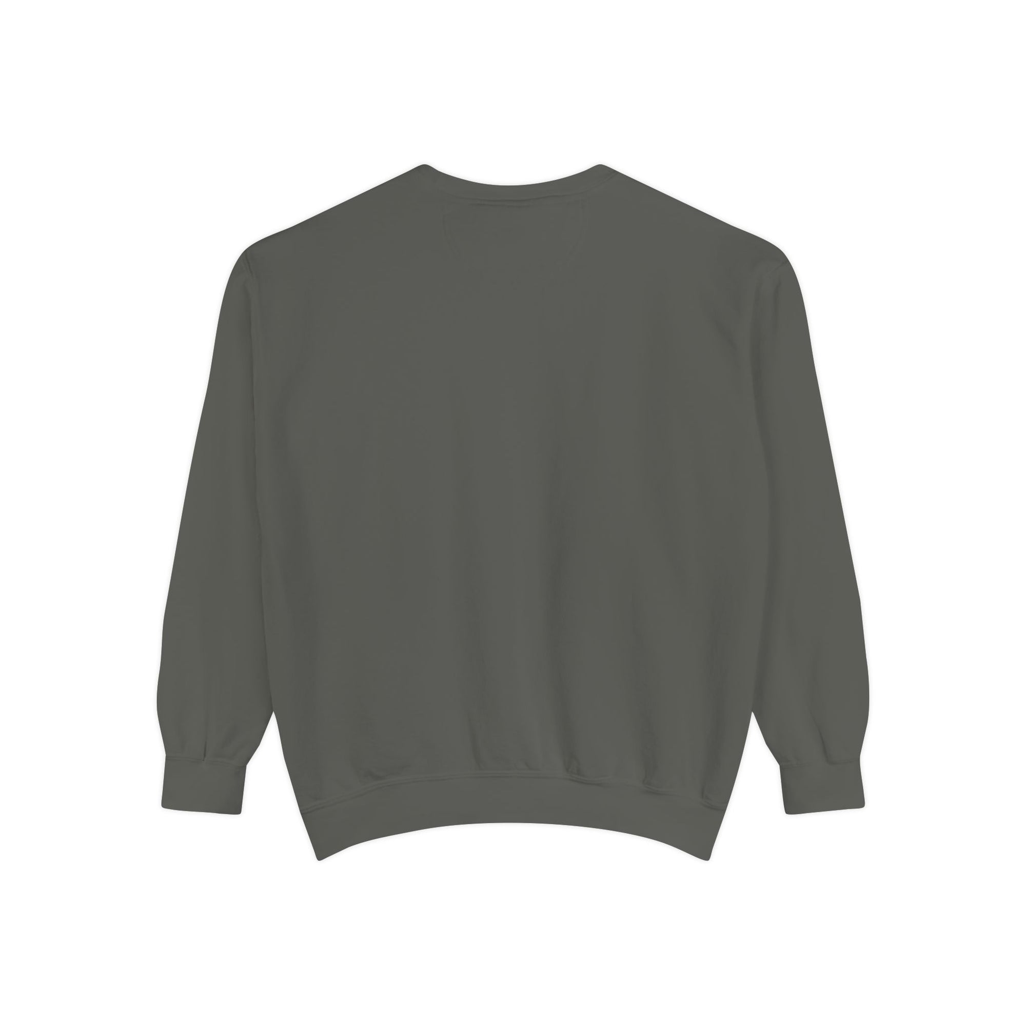 Psalm 91 Inspirational Sweatshirt