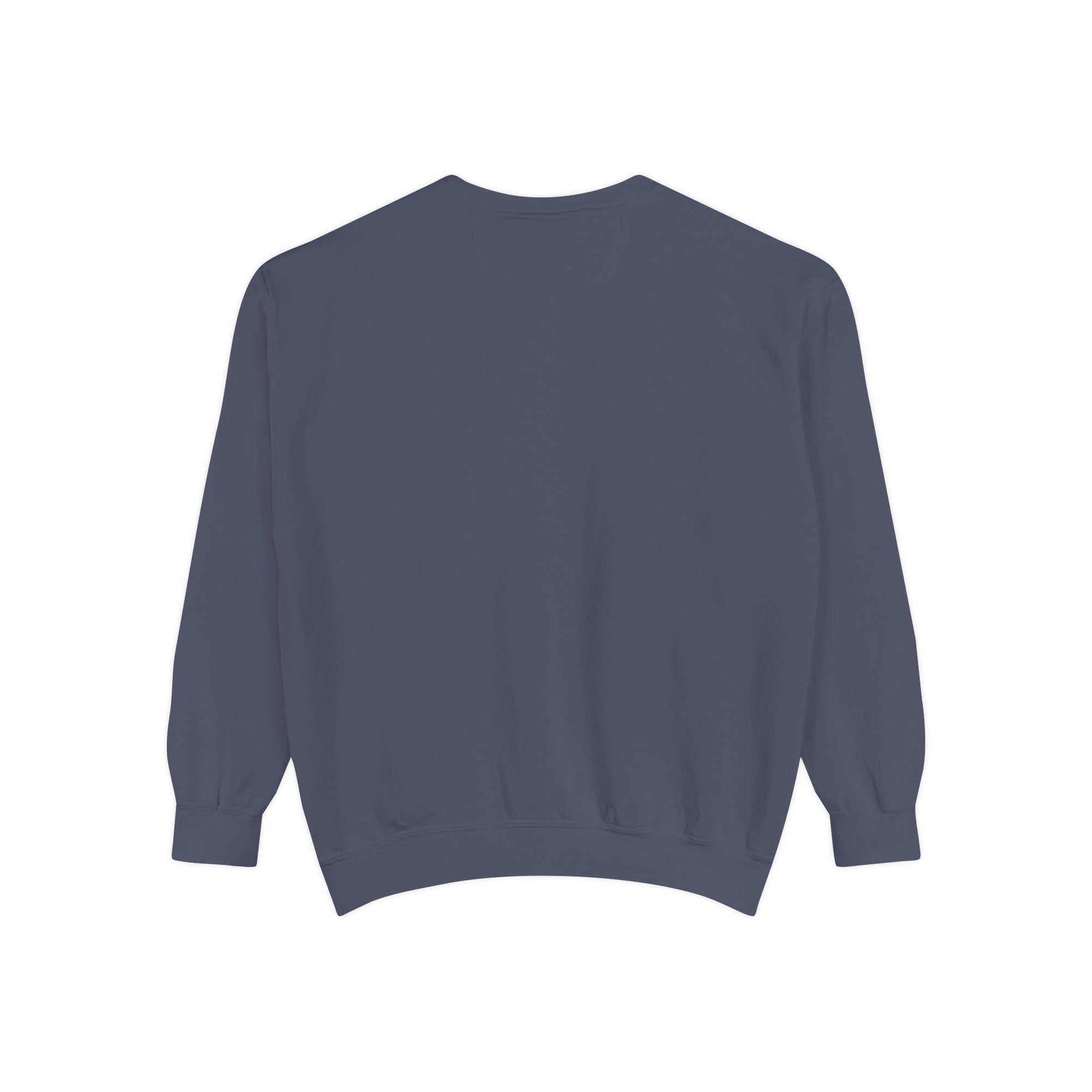 Psalm 91 Inspirational Sweatshirt