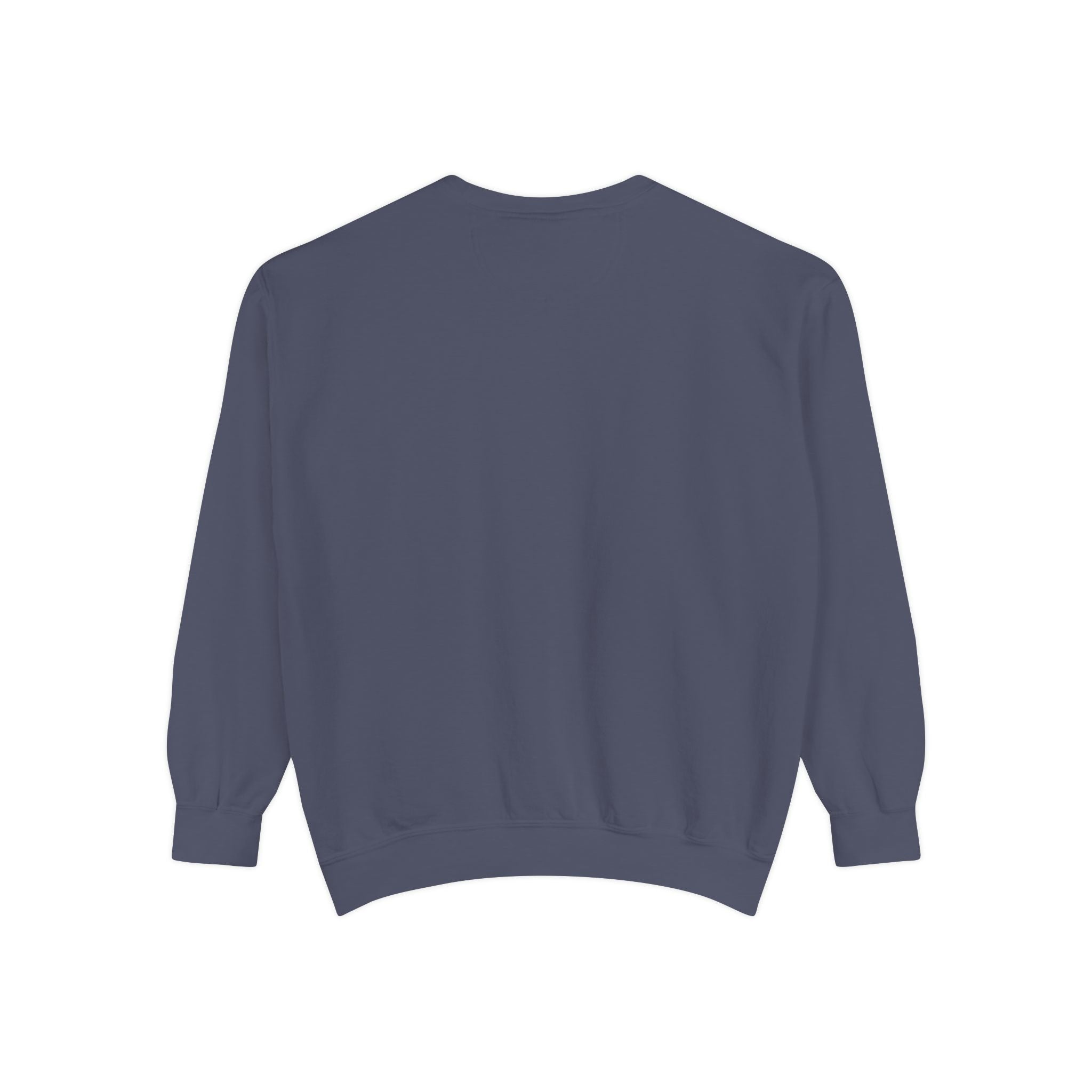 Psalm 91 Inspirational Sweatshirt