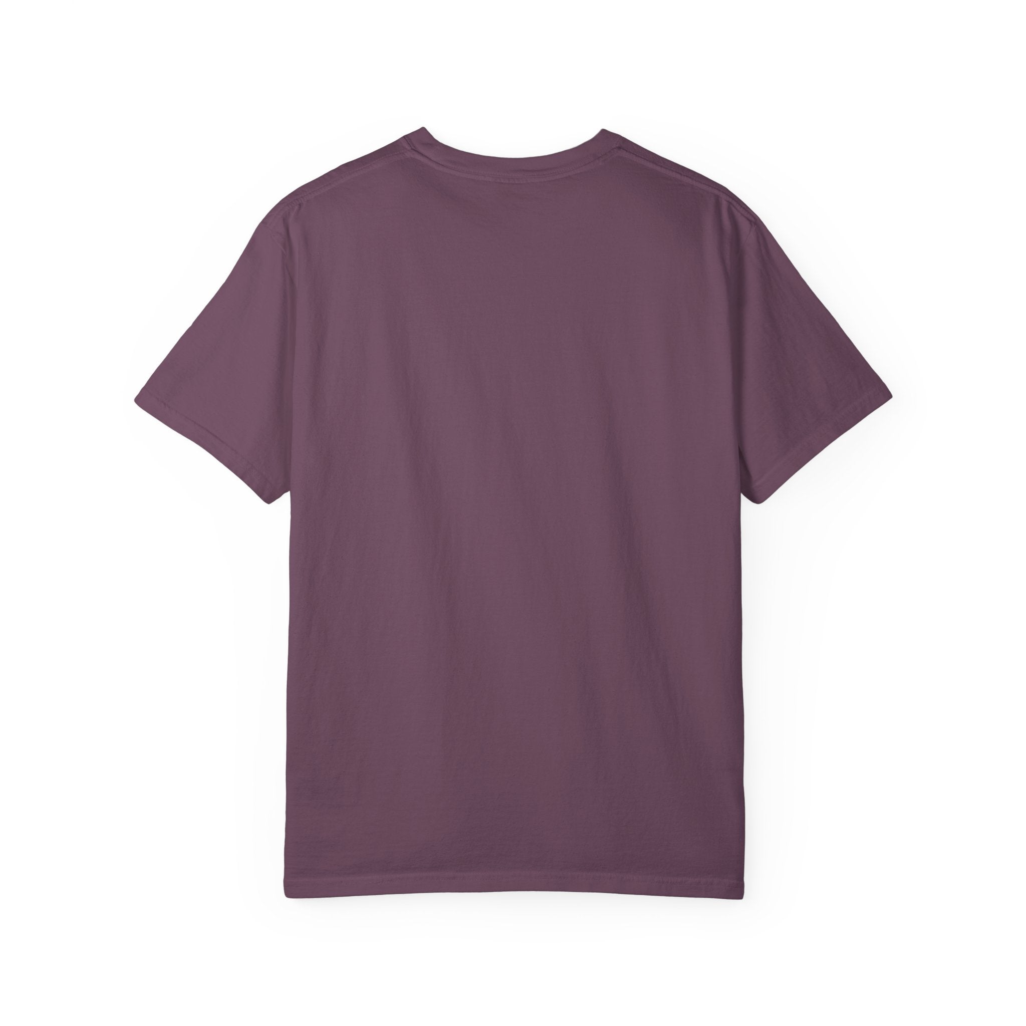 Camiseta gráfica del Salmo 91 en español - Camiseta cristiana inspiradora